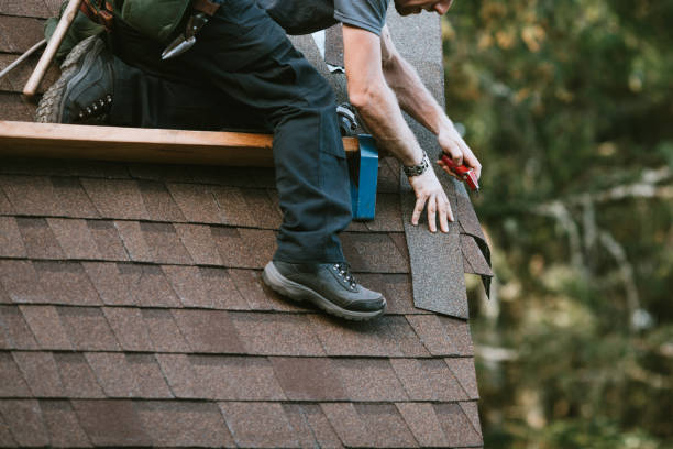 Roof Gutter Cleaning in Laureldale, PA